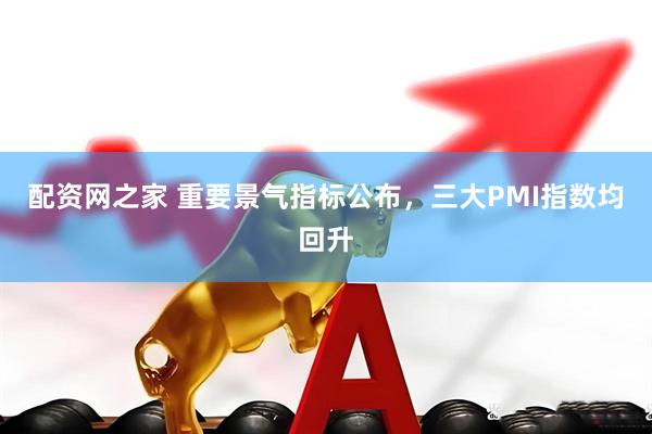 配资网之家 重要景气指标公布，三大PMI指数均回升