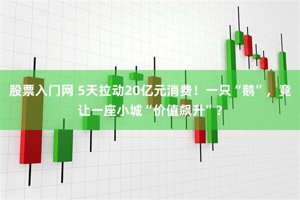 股票入门网 5天拉动20亿元消费！一只“鹅”，竟让一座小城“价值飙升”？